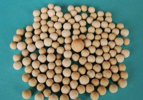 <a href='http://m.jianxianggongyi.cn/ml/71.html' target='_blank'><u>���X��������a�S��</u></a>