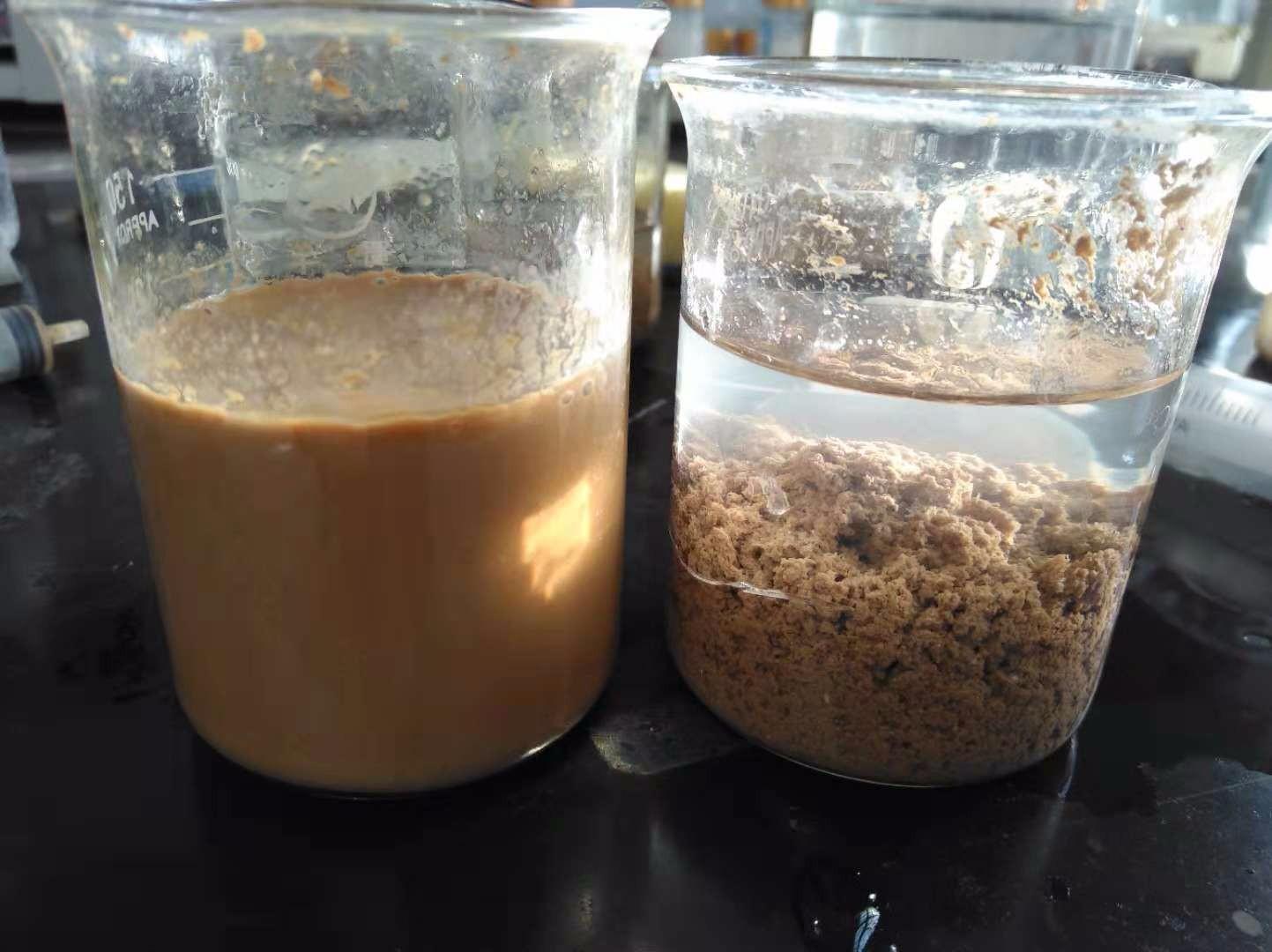 <a href='http://m.jianxianggongyi.cn/jsyj/992.html' target='_blank'><u>非離子聚丙烯酰胺生產廠家</u></a>